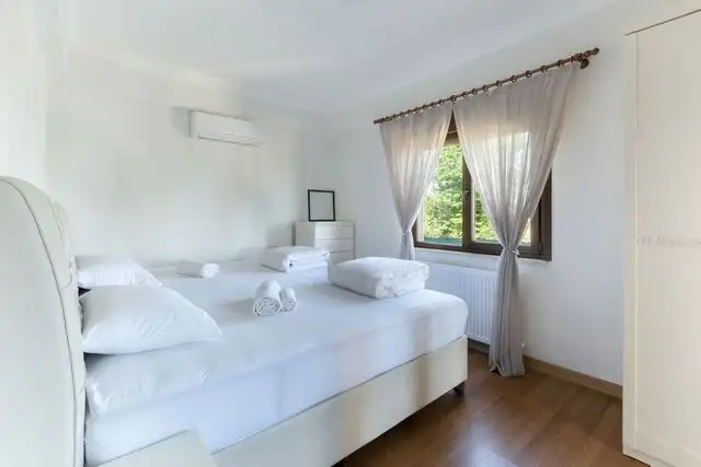 Sapanca Villa Nevras Plus